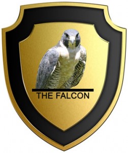 The Falcon - Art Of Defense